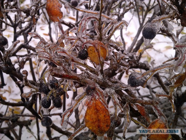 Зимняя сказка в Пермском крае (Россия,январь 2016)