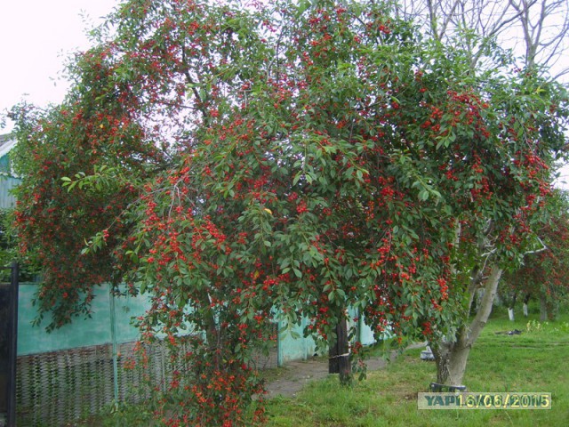 Красивая Россия