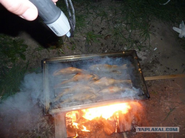 Апрельская Астрахань