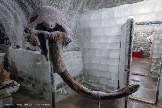 Чудеса науки из Голландии