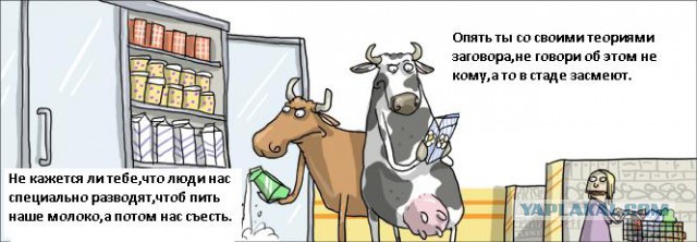 Савченко в раде: "Мы найобуем людей каждый день!"