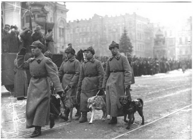 На страже советской власти. 1920-68 г.
