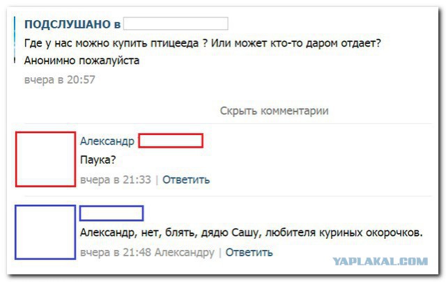Смешные комментарии из социальных сетей 21.10.2016