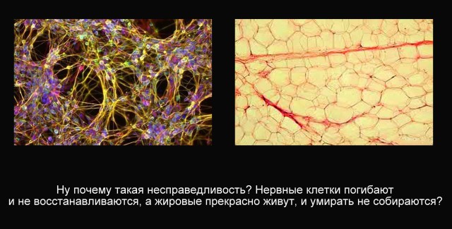 Подборка интересных и веселых картинок