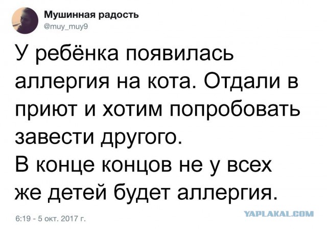 Давно мы не мизантропизировали...