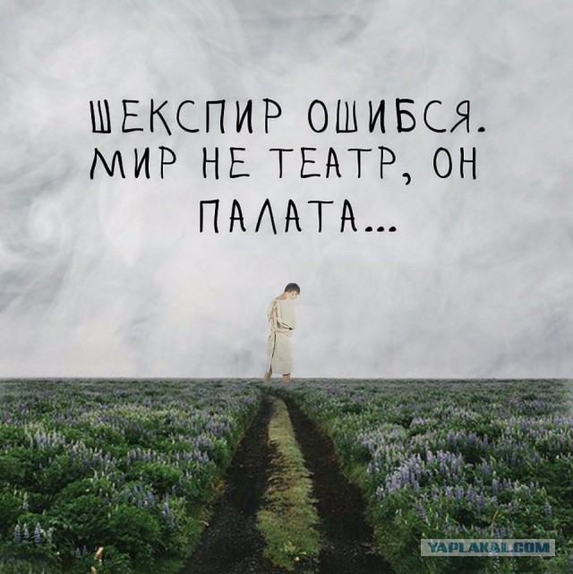 Учитель повесился, когда о его романе с ученицей узнали в школе