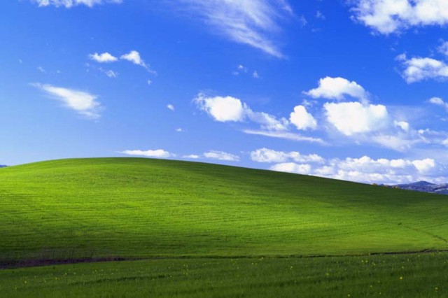 100 тысяч долларов против 45 долларов: разница в гонорарах авторов обоев Windows XP