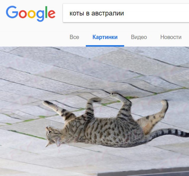 Глазки от работы отрывайте, на картинки повтыкайте!