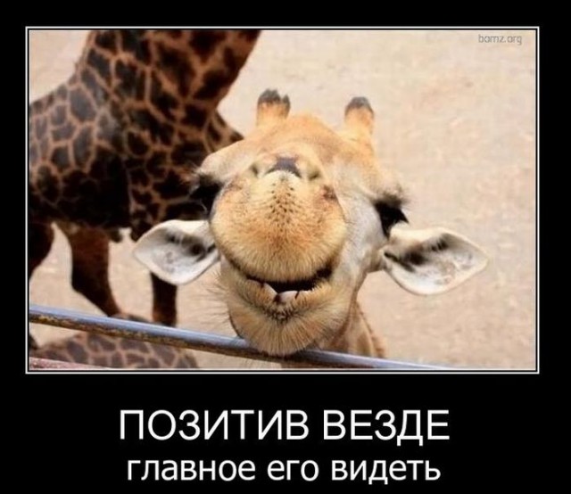 Холодильник 3
