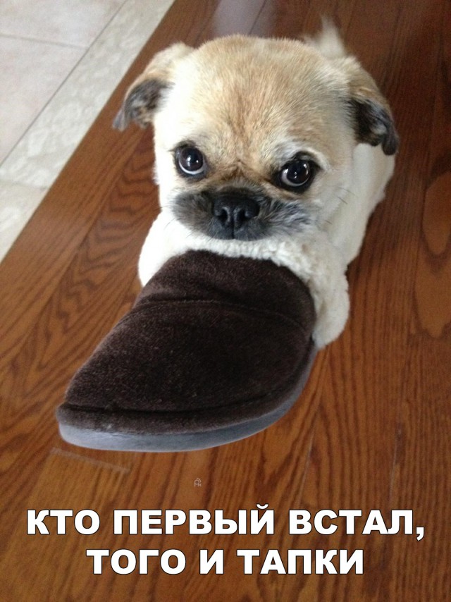 Нестандартный юмор
