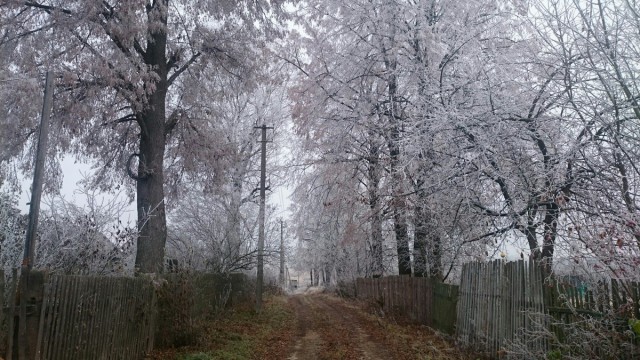 Осень в деревне