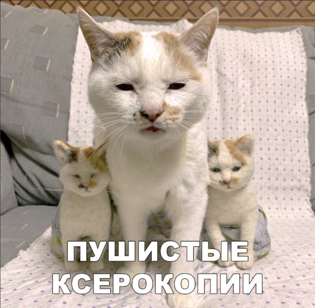 Нестандартный юмор