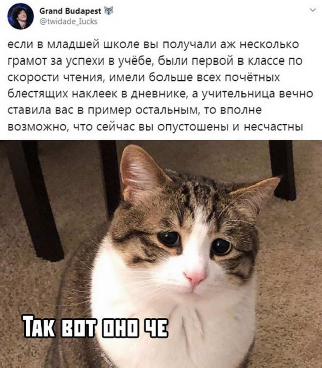 Немного картинок с надписями и без - 20