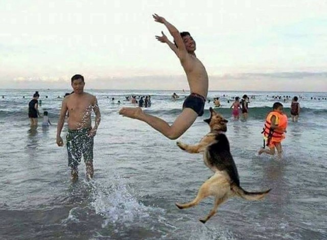 Забавные и познавательные фотографии, поднимающие настроение