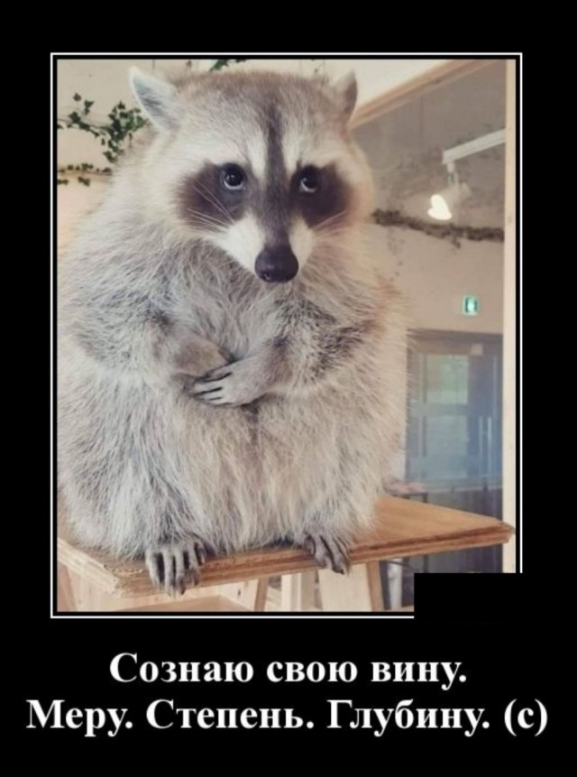 Бредзона 20.04.2020