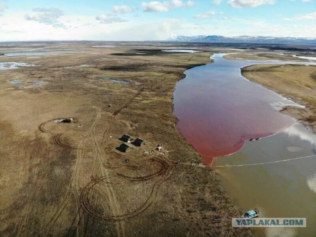 Мажоры на реке