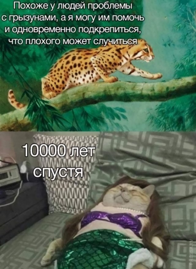 Картинки и мемы для настроения 016