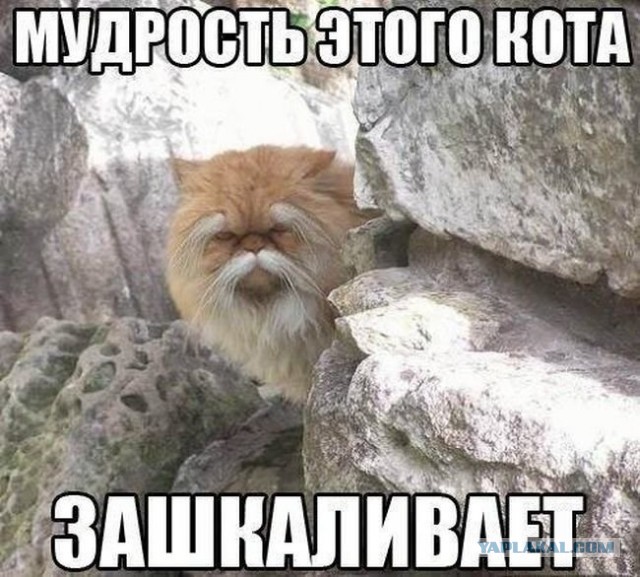 Прикольные и просто красивые картинки 23.12.2020