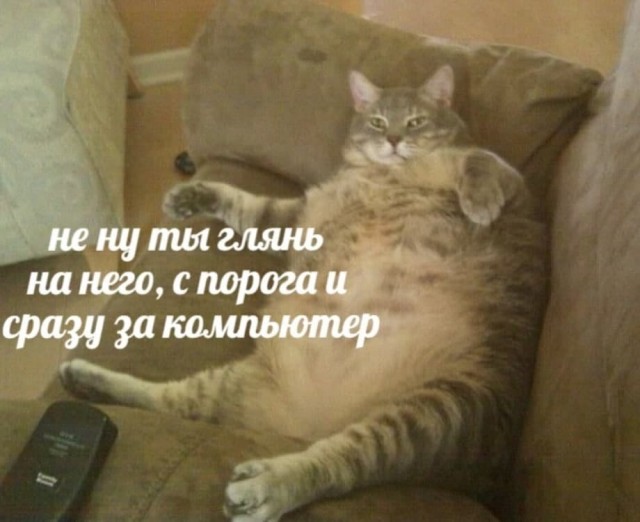 Кретинизмы из ЛМ и ЛЩ 21.02.21