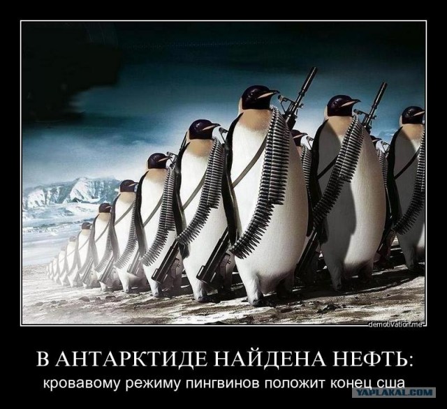 Кто следующий...