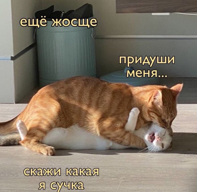 Весёлый полтишок 1.04
