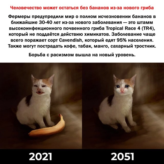 Всяческие картинки