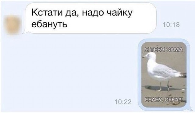 Как тебе такое, Беар Гриллс?