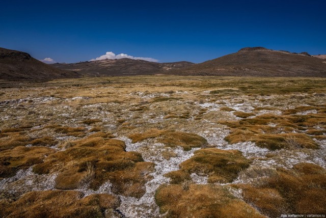 Арекипа, Перу: солёные озёра, ламы и альпака