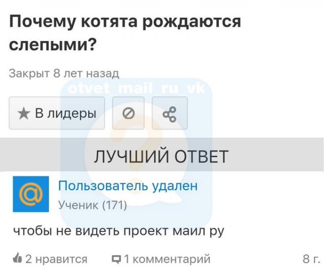 Вам в Петербург