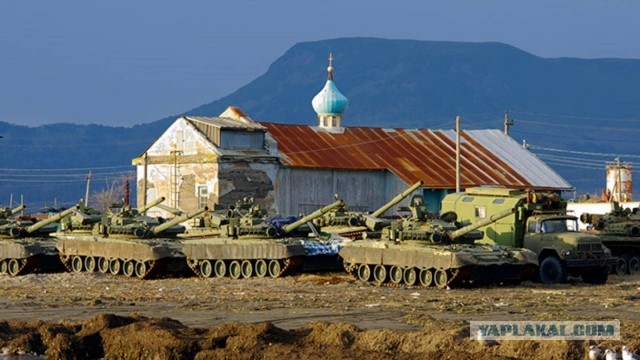 Хитрый, быстрый, благородный