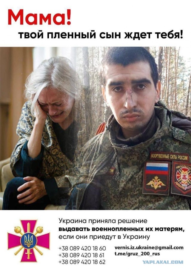 На 12-й день войны...