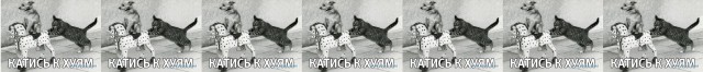Открытое письмо НевзороваПредседателю Следственного Комитета Бастрыкину