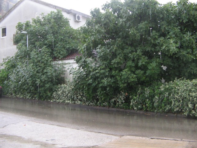 Отдых в Черногории (сентябрь 2012)