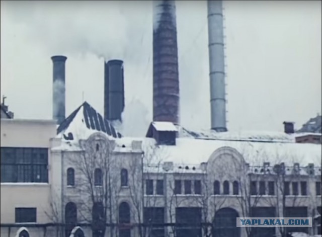 В погоне за Фоксом