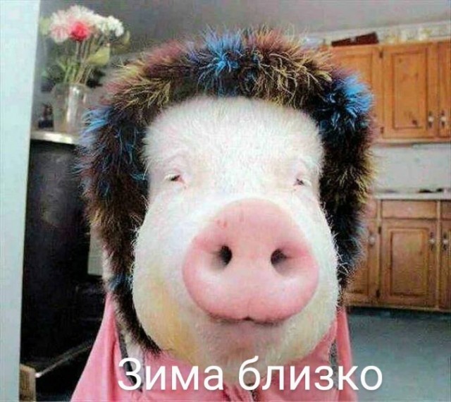 Немного картинок для настроения - 123