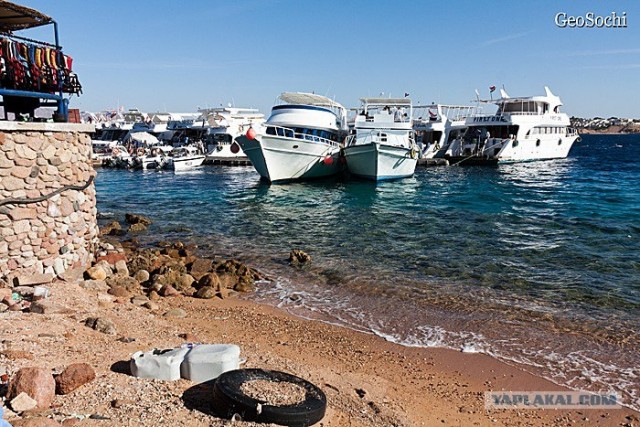 Синайские приключения. Шарм-эш-Шейх и окресности