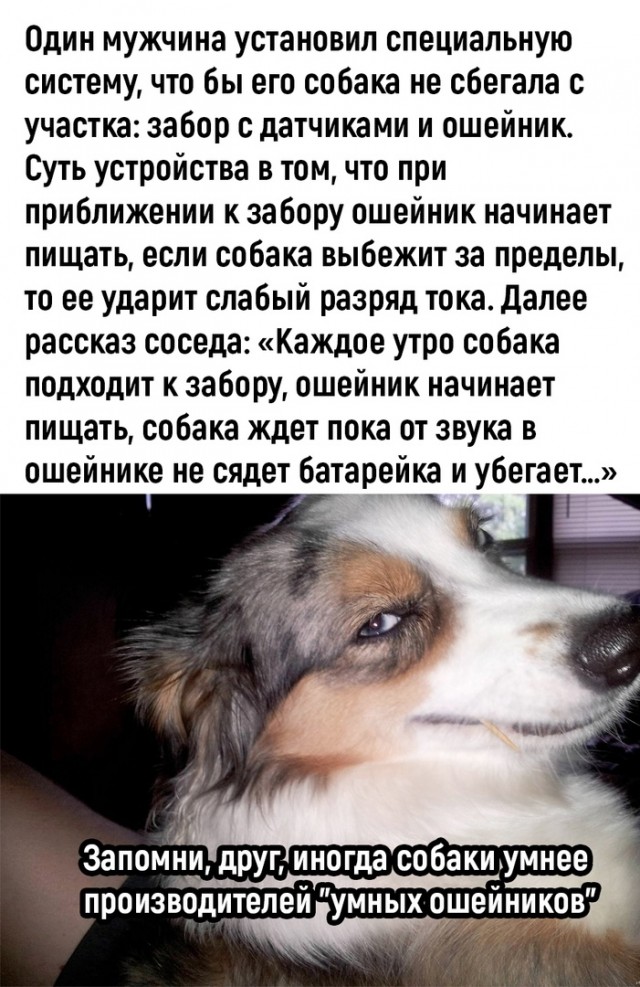 Так себе картинки 12.12.21