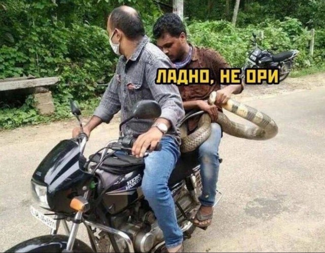 Седые дети