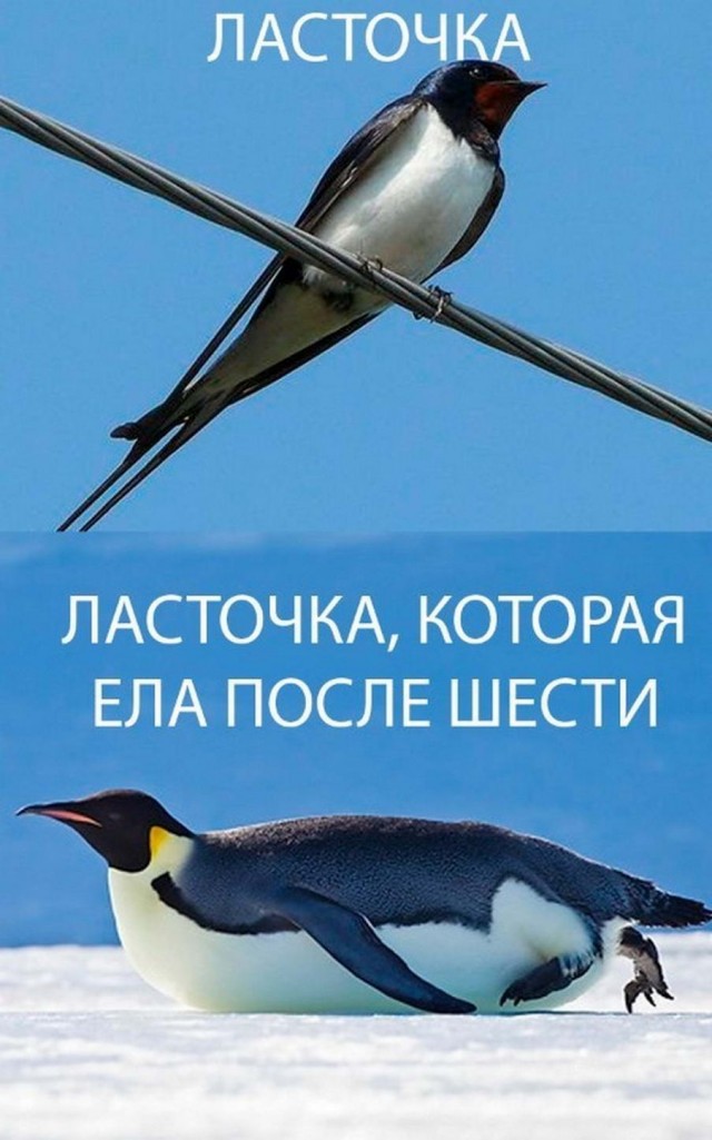 Немного картинок для настроения - 153