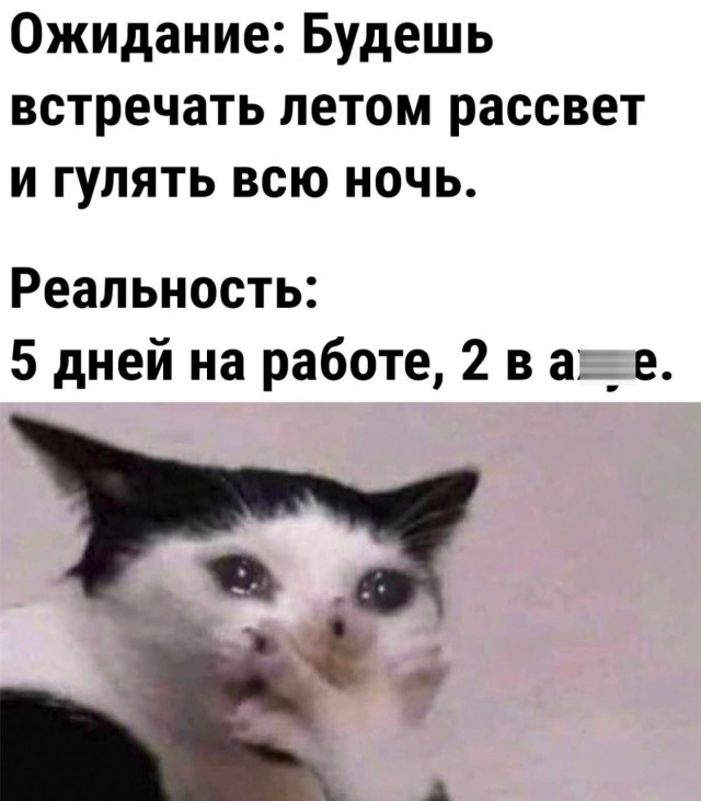 Так себе картинки 04.06.23