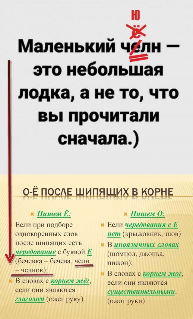 Весёлый полтишок 12.07 23