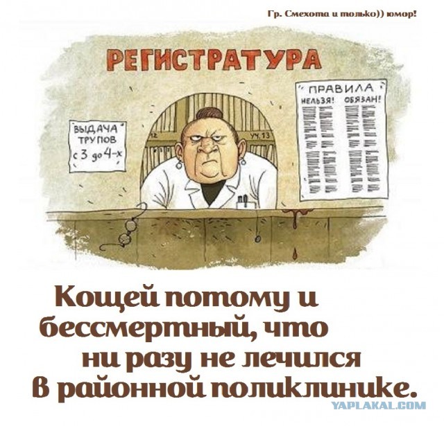«Разведенные подруги жены» - первая категория опасности для счастливых семей