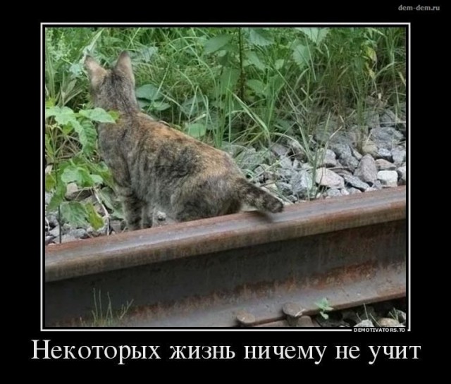 Инвалид во всех смыслах