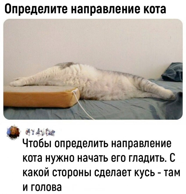 Так себе картинки 15.09.23