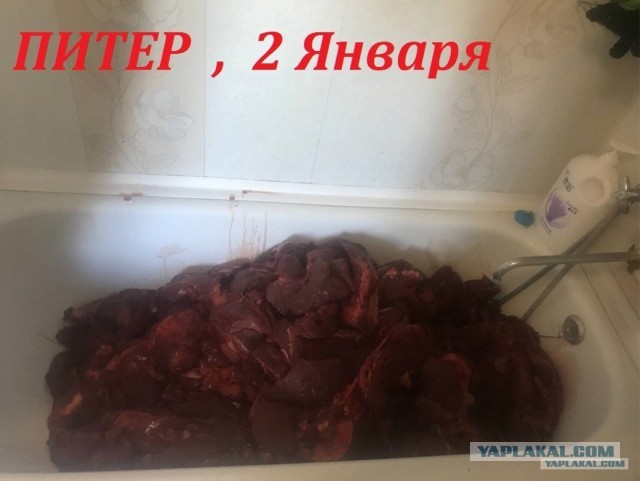 Так себе картинки 20.12.23