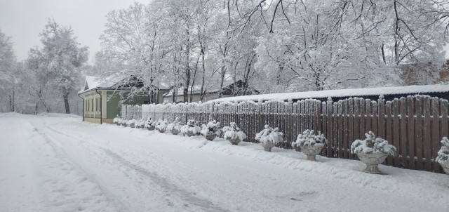 Зимняя красота