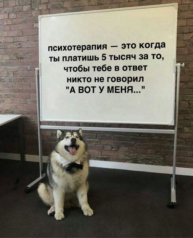 Весёлый полтишок 23.01.24