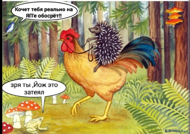 Гоните их как увидите: Почему появление ежа на участке это тревожный сигнал для хозяев?