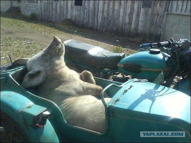 Хочу и возьму мотоцикл! Вопрос к мотоциклистам