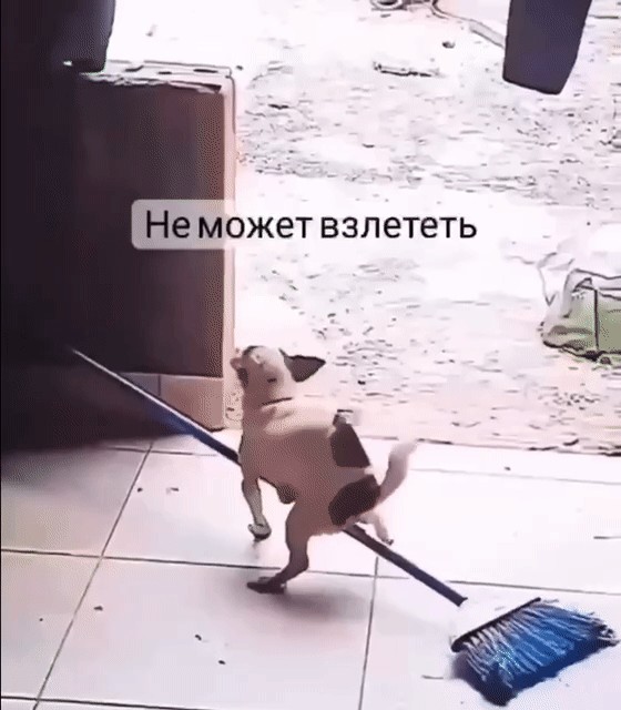 Юмор в картинках и без